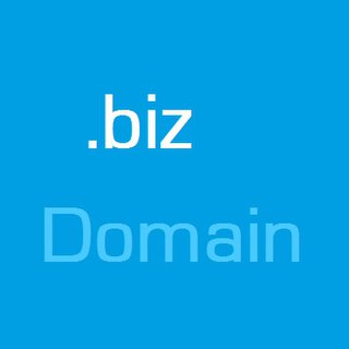 .biz-Domain (Jahrespreis)