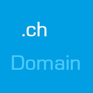 .ch-Domain (Jahrespreis)