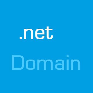 .net-Domain (Jahrespreis)